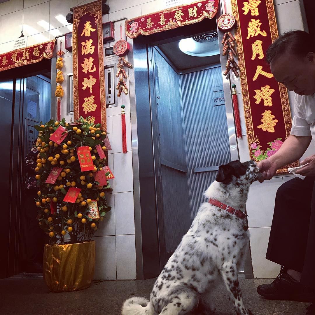 @sdancerhardy