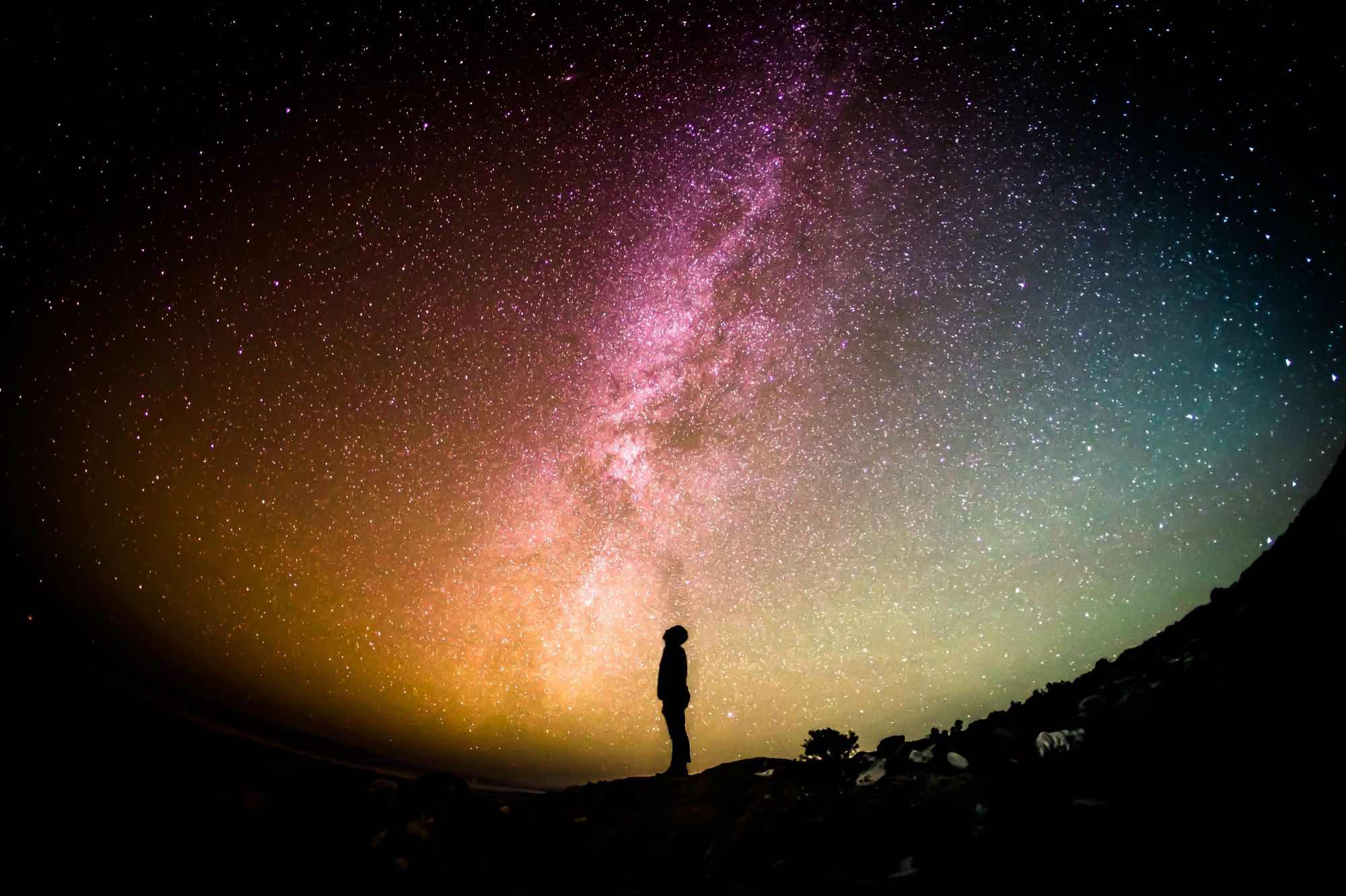Conscious Cinema Brings Science And Spirituality To The Big Screen