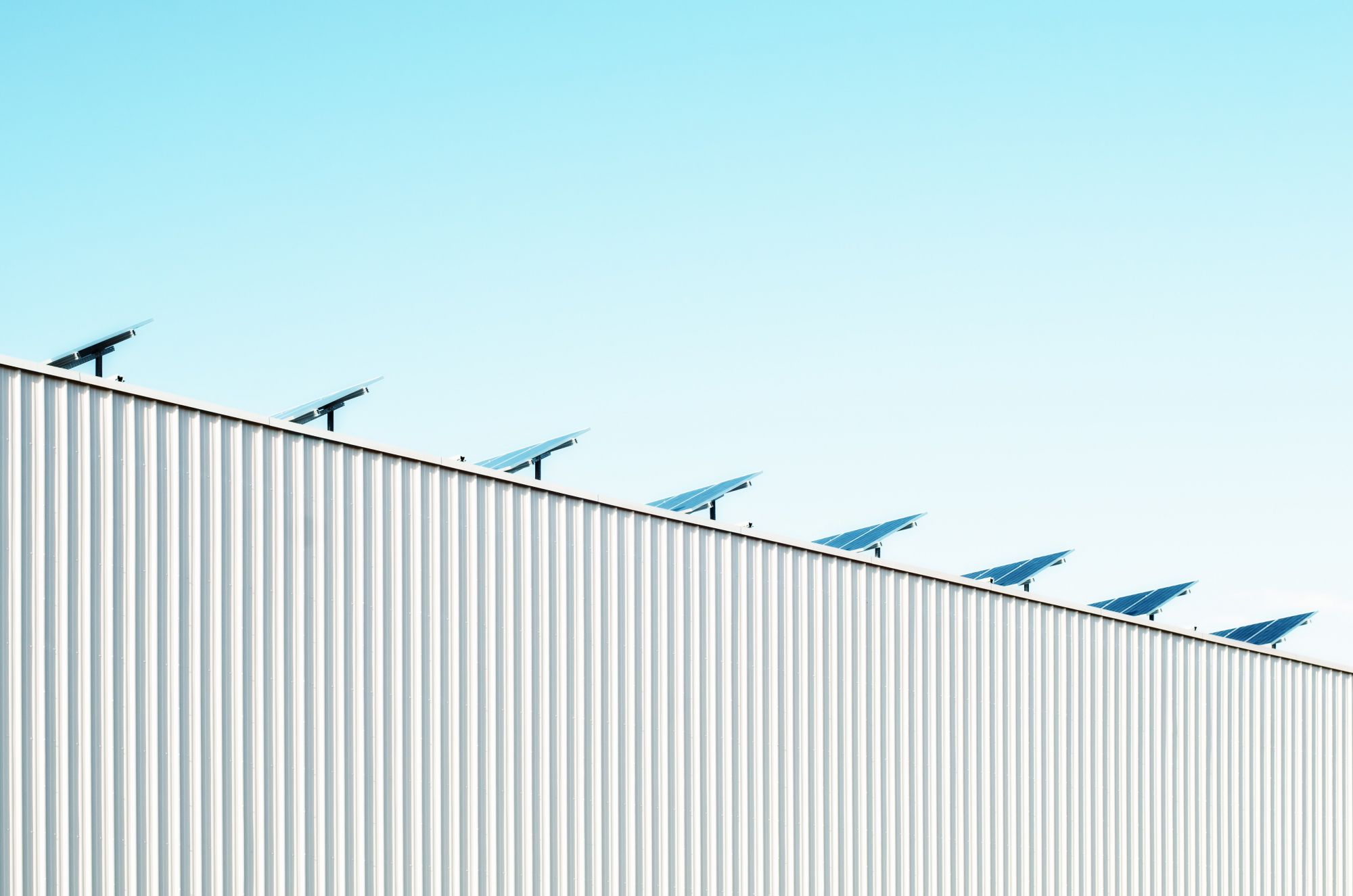 The Rise Of Sustainable Investments In Asia