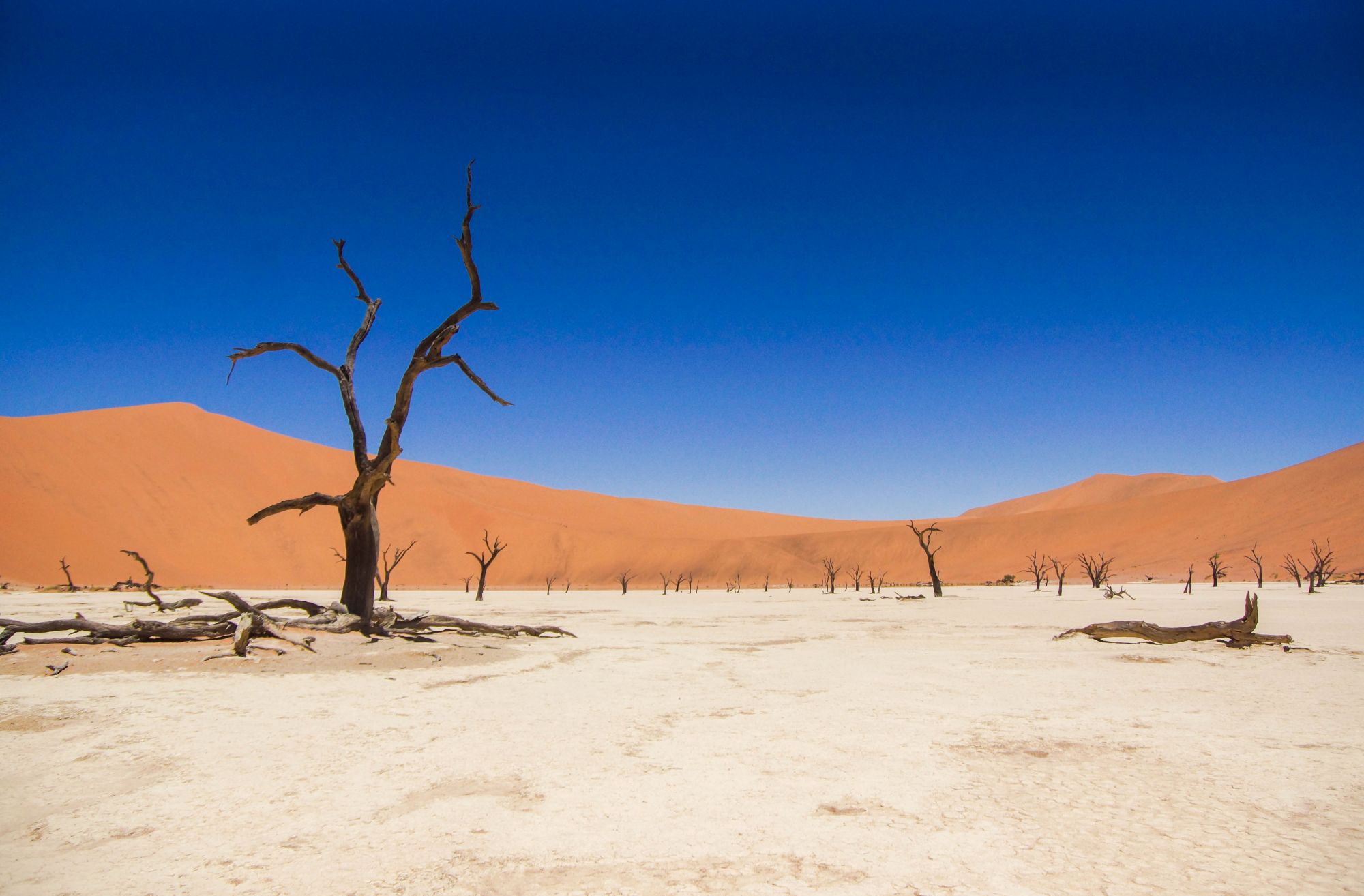 More Than Safaris: 5 Underrated Destinations In Southern And East Africa