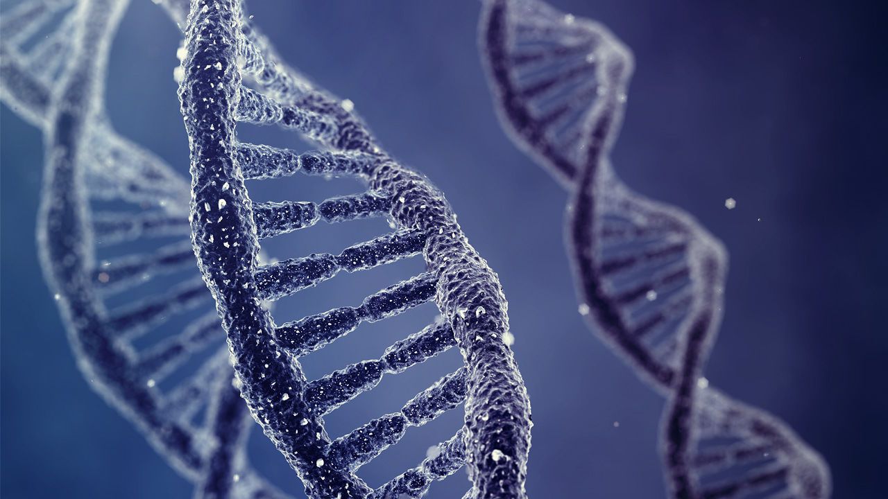 DNAFit: How To Workout According To Your DNA