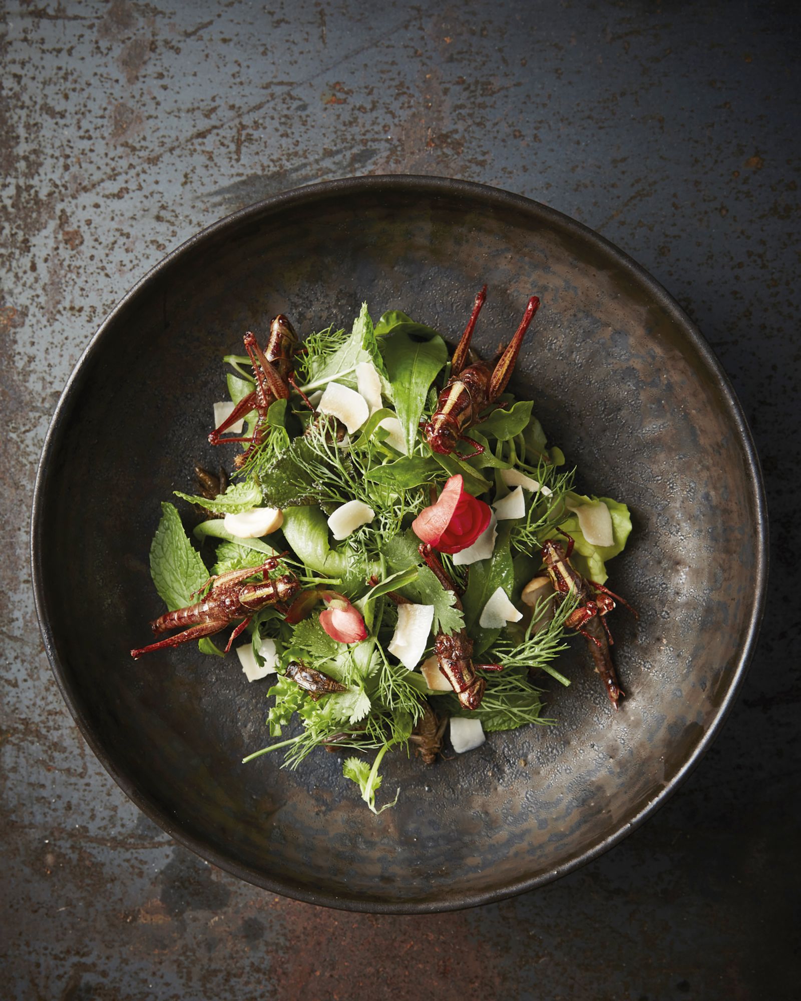 Is The Future Of Food Meat-Free?