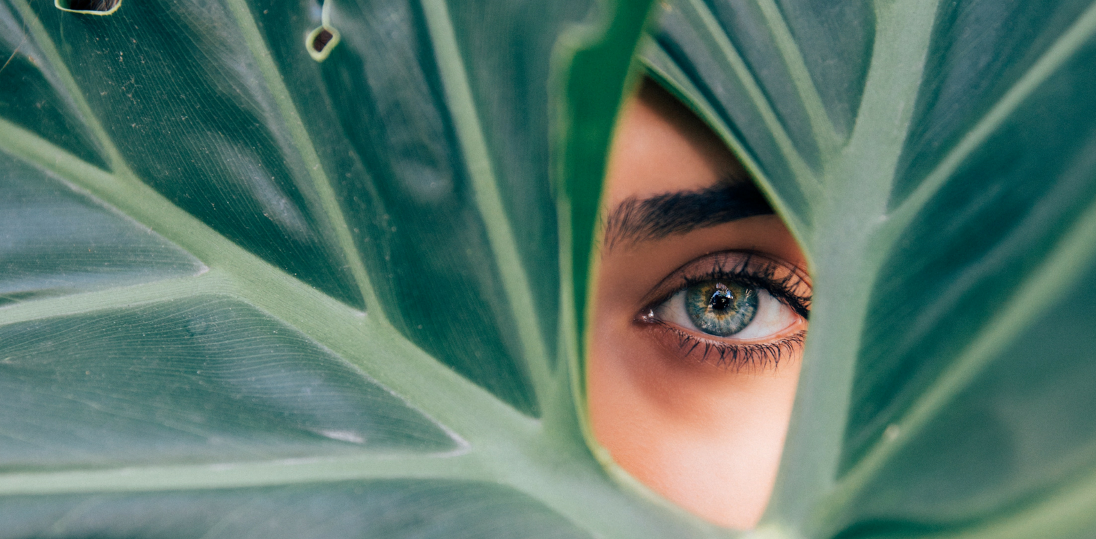 5 Cruelty-Free High End Beauty Brands
