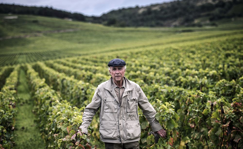 Legendary Winemaker Turns Global Spotlight on Burgundy's Vineyards