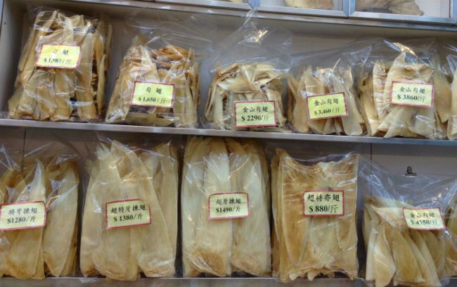 Shark Fin in Hong Kong