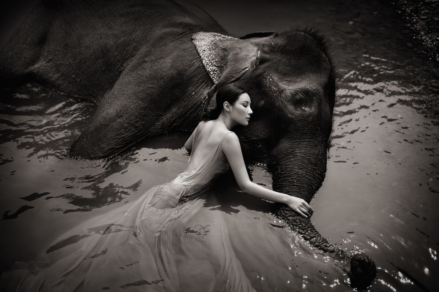Sean Lee-Davies’ "Love is Wild" Exhibition Opens at Liang Yi Museum