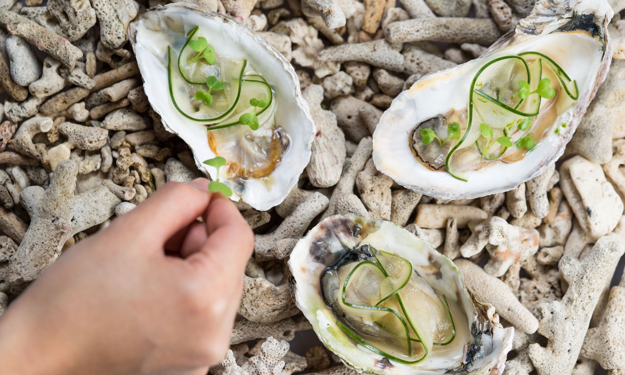 Haku To Collaborate With Manila’s Toyo Eatery This February