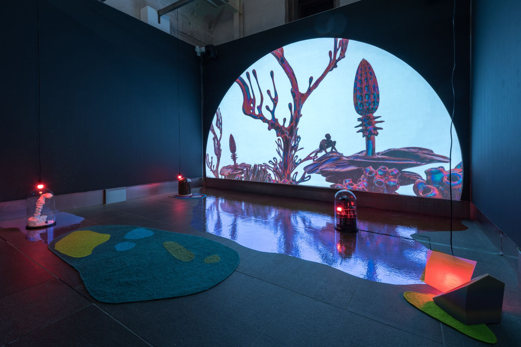 Vvzela Kook's video, Columbus of Horticulture (2019), at Asia Society's exhibition To See the Forest and the Trees. (Photo: Scott Brooks)