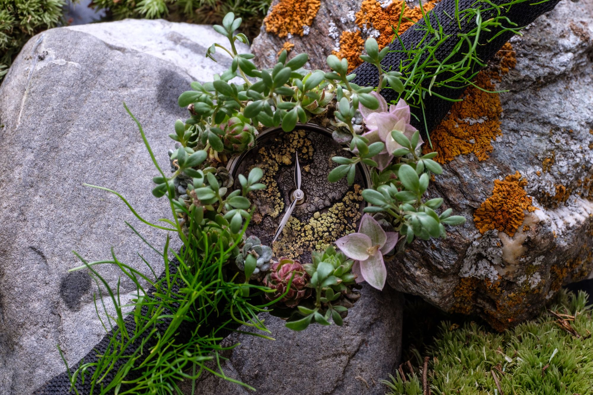 5 Bold Watches That Are Inspired By Nature