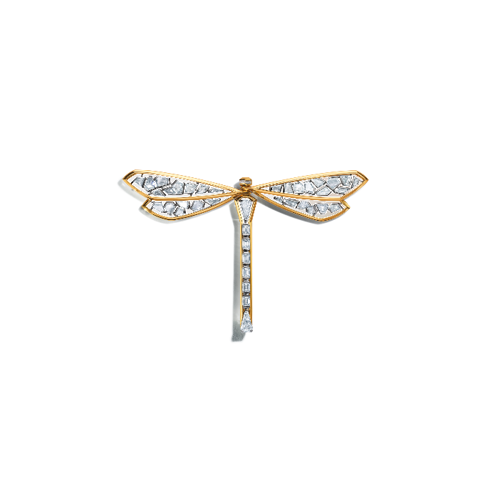 Blue Book brooch in yellow gold and platinum set with white diamonds, by Tiffany & Co
