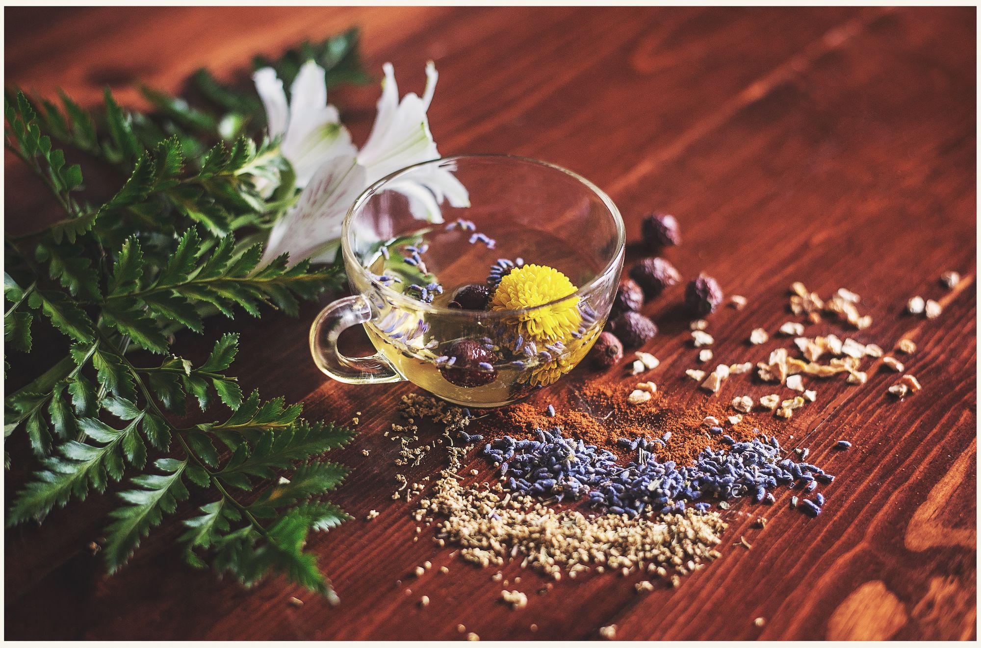 The 5 Best Herbal Ingredients For Your Skin