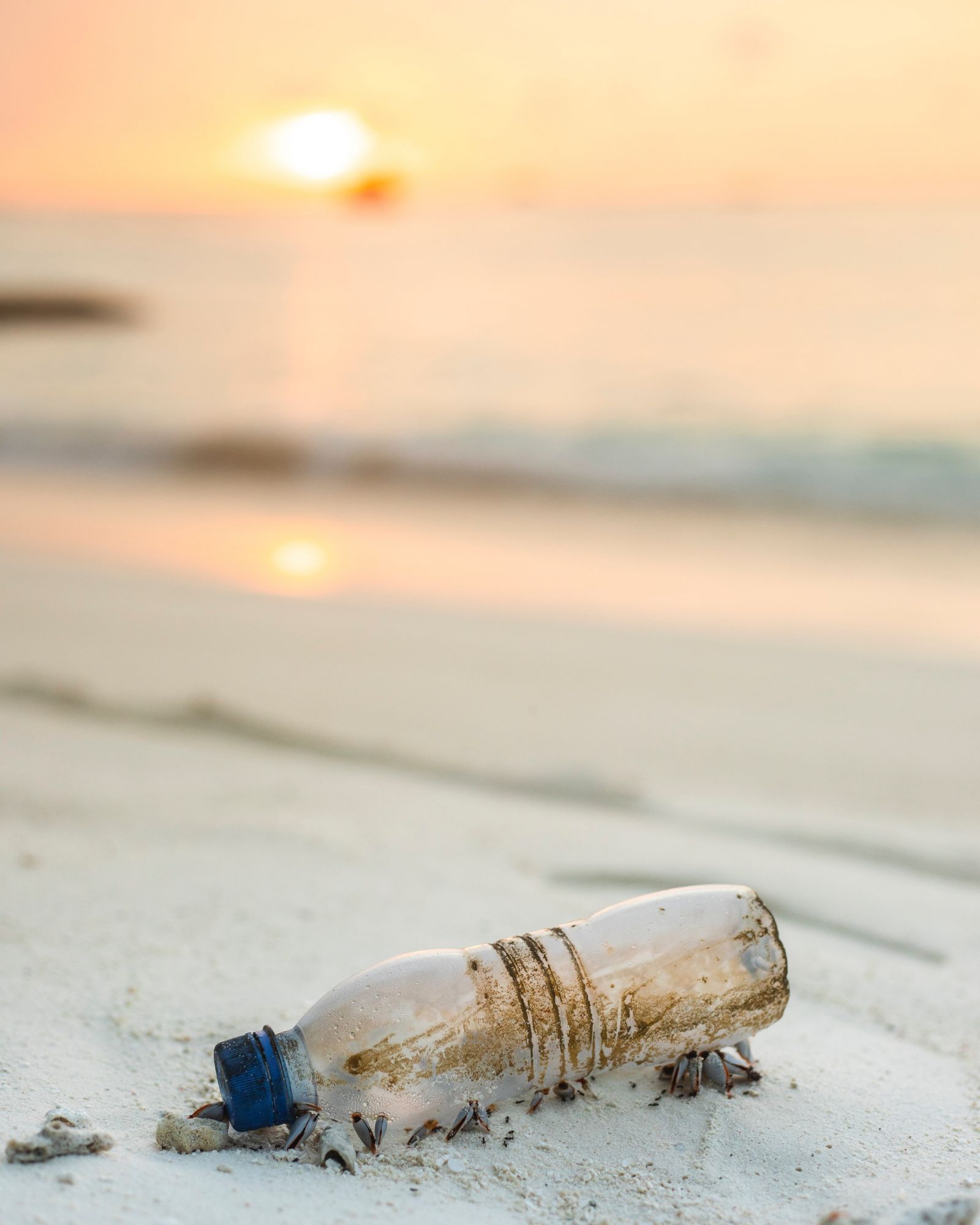 Earth Day 2020: 5 Hong Kong Charities That Save The Environment