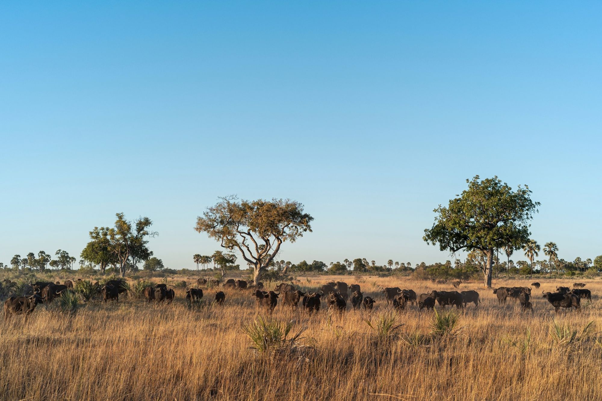 The Most Anticipated Hotel Openings In Africa For 2020