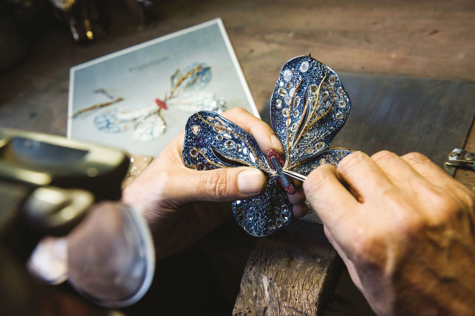 Cindy Chao's Bejewelled Butterflies Are True Works Of Art