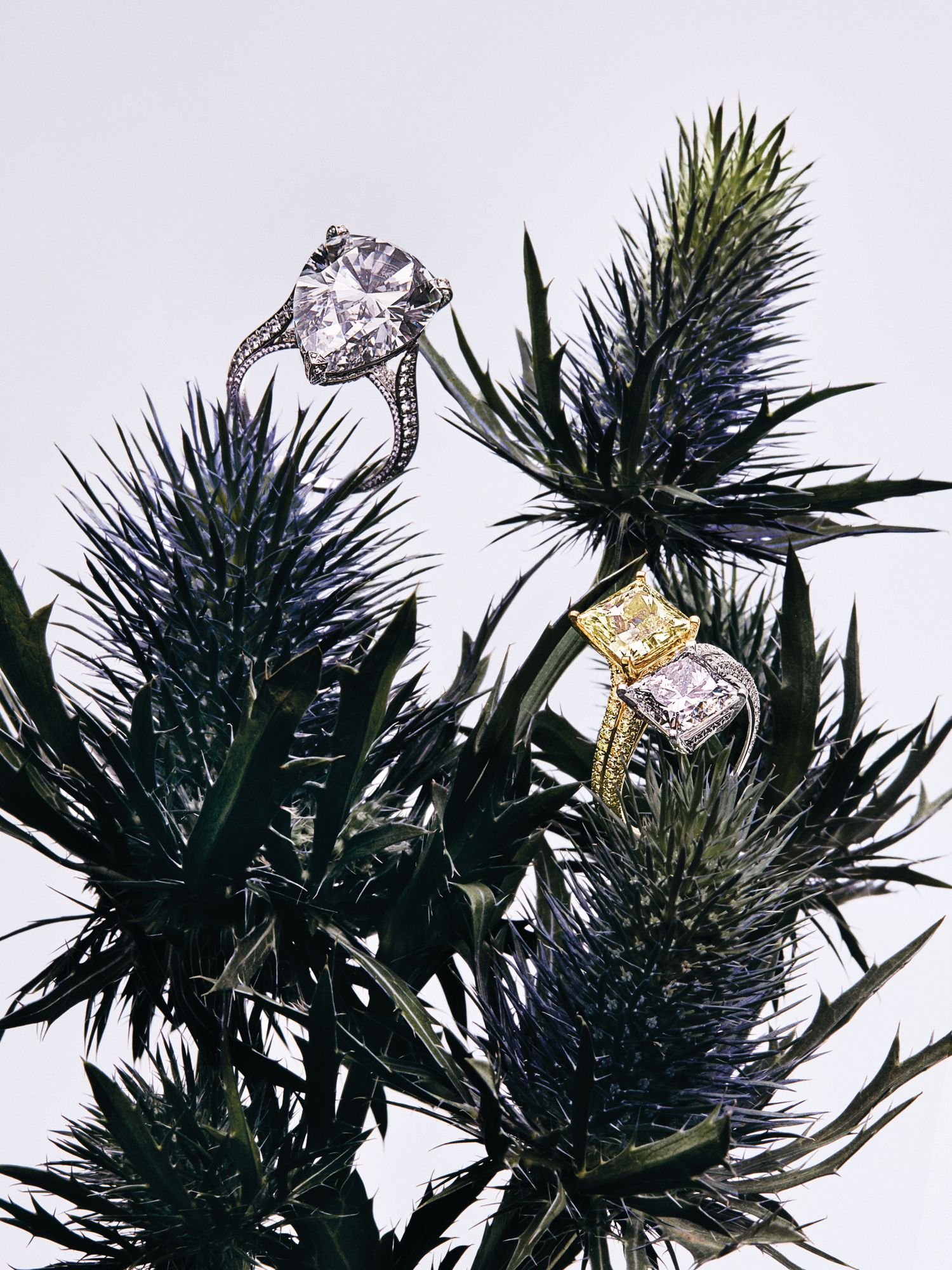 Ring in white gold set with diamonds; ring in yellow and white gold set with yellow and white diamonds, both by Chopard