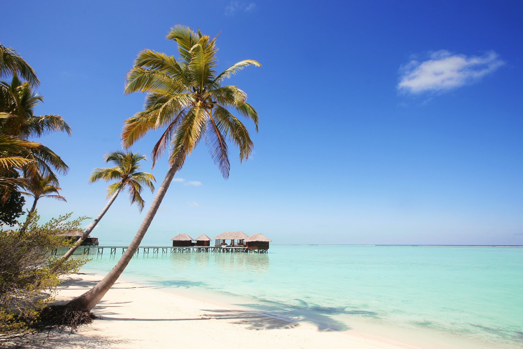 The Maldives Is Officially Opening To International Travellers Next Month