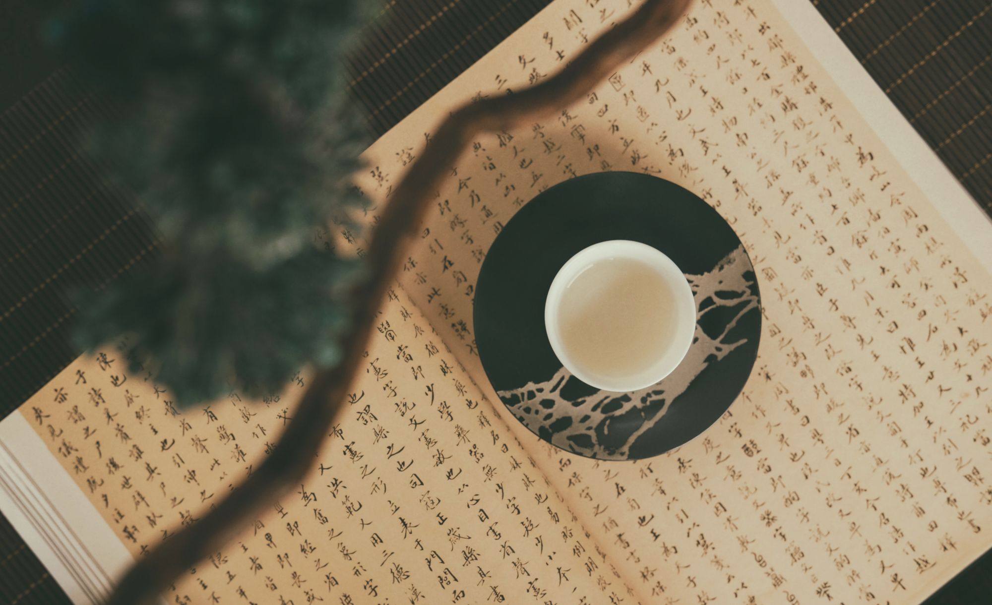 The Traditional Chinese Medicine Ingredients That Can Help To Boost Your Health