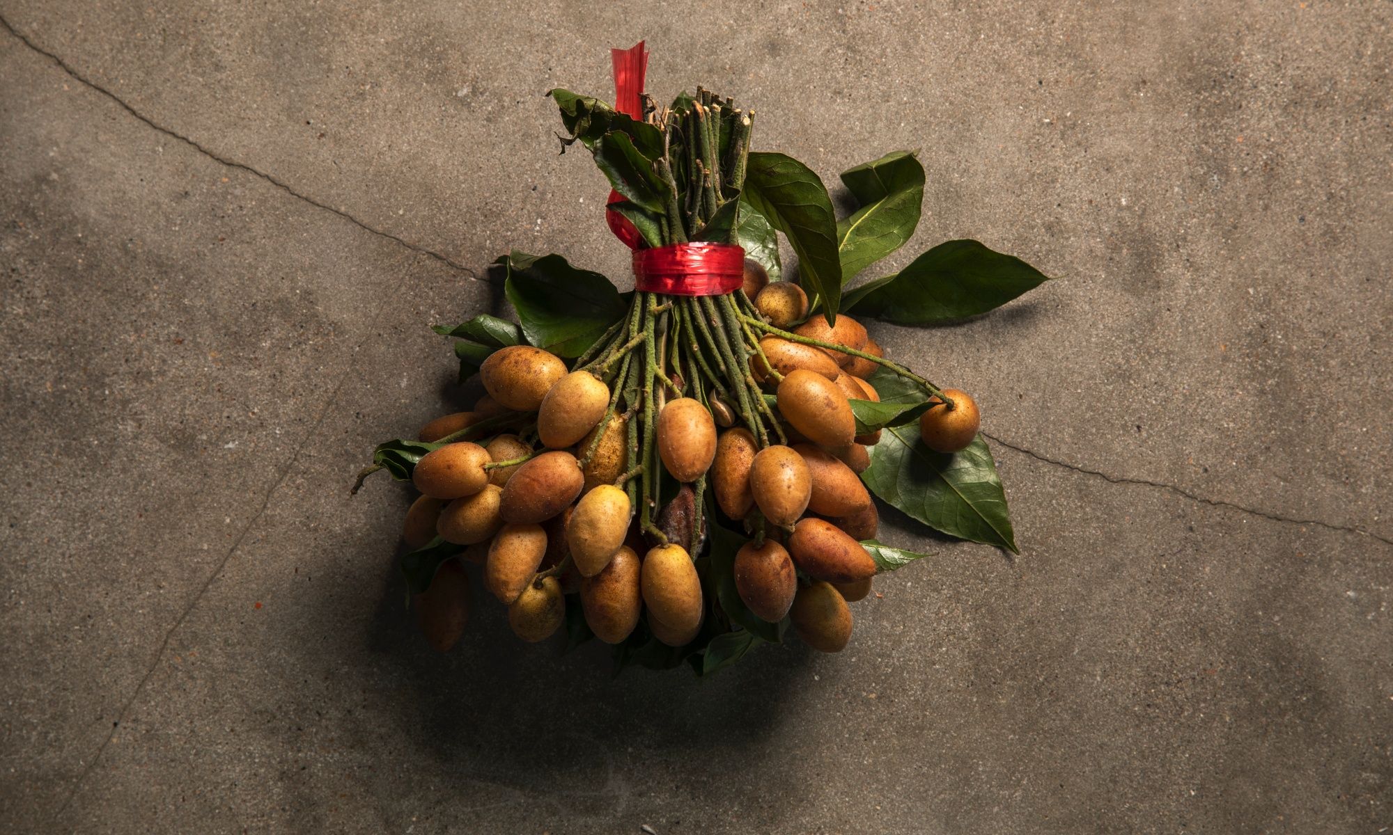 Why TCM Practitioners Encourage Eating the Sweet Wampee Fruit For its Health Benefits