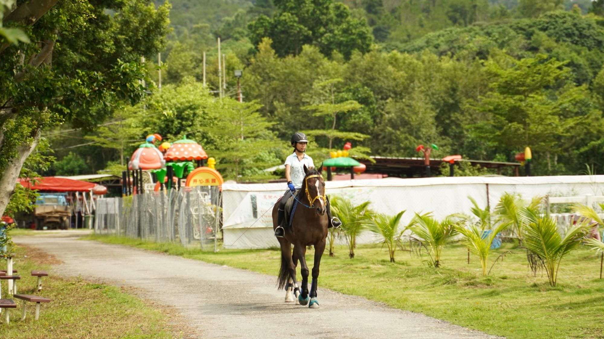 6 Horse Riding Schools In Hong Kong Tatler Hong Kong