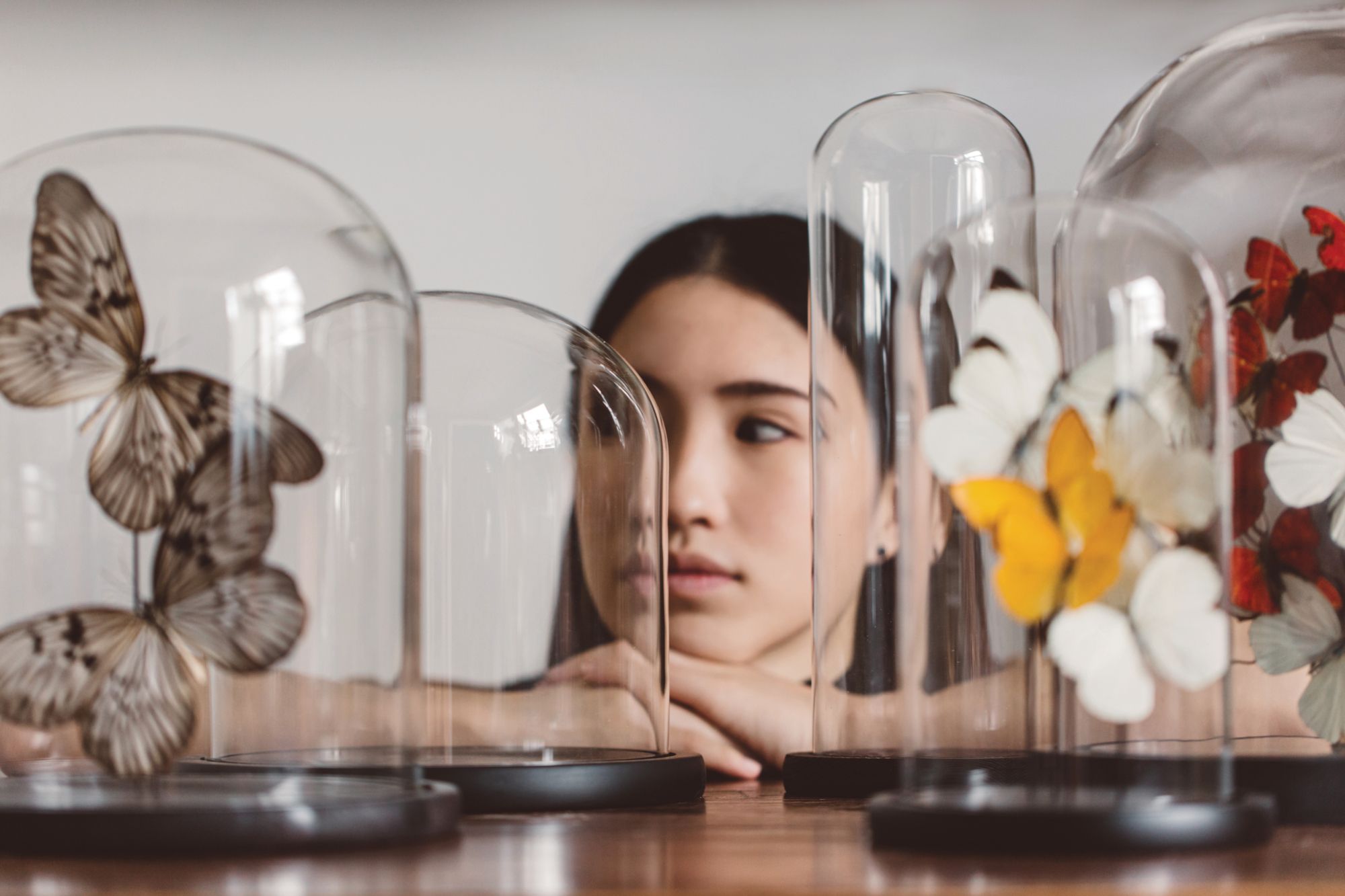 A Taxidermist Proves Preserved Insects Can Make Beautiful Art