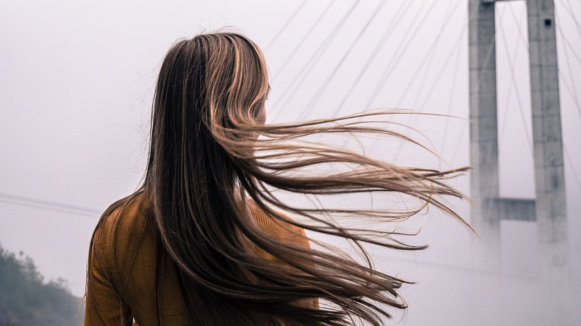 7 Nourishing Hair Oils For A Healthy, Hydrated Mane