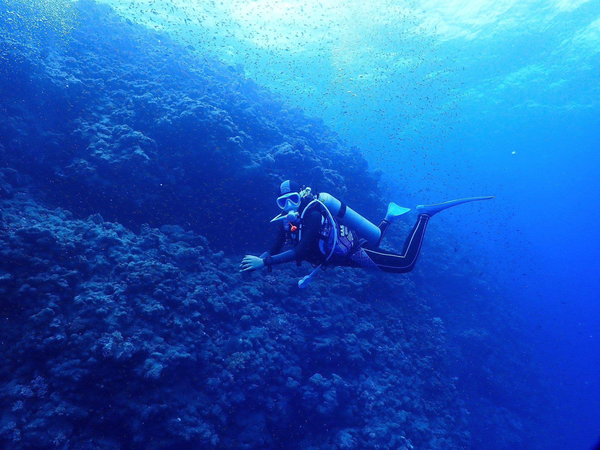 Where To Go Diving And Snorkelling In Hong Kong