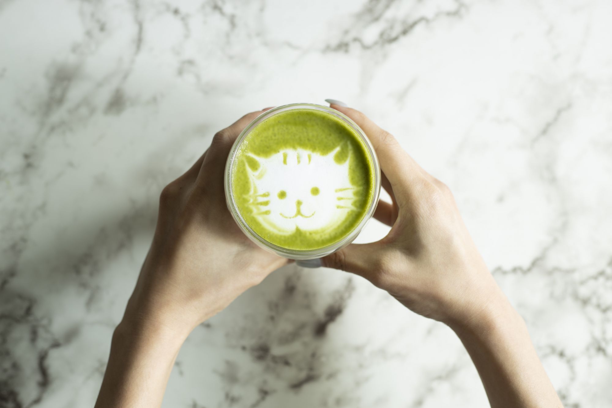 Green Monday Partners With Peta To Bring Back The "Coffee For Cats" Campaign