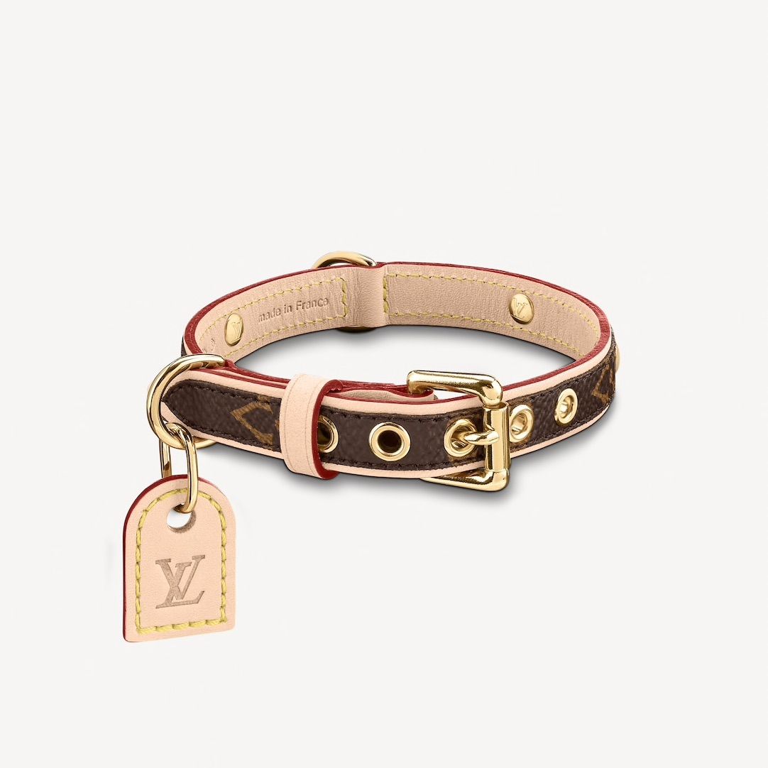 Collier pour chien Louis Vuitton Baxter (Photo: Louis Vuitton)