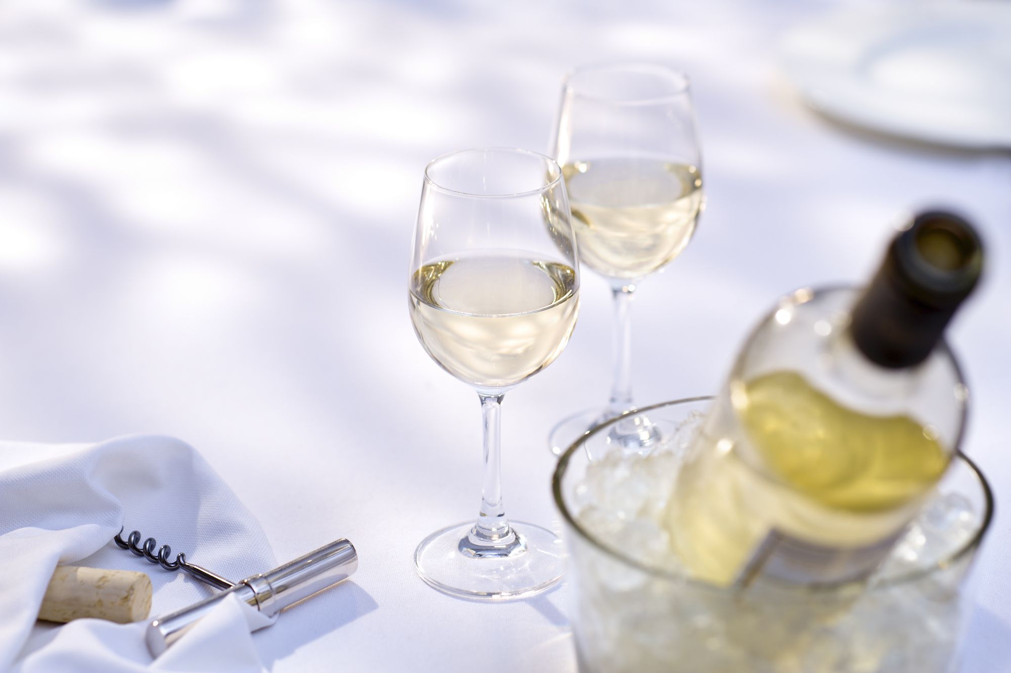 The Best Ice Buckets and Coolers For Perfect Wine Every Time