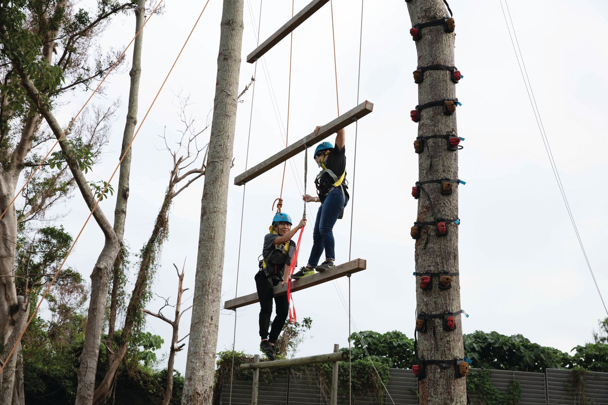 11 Activities To Get Out Of Your Comfort Zone In Hong Kong