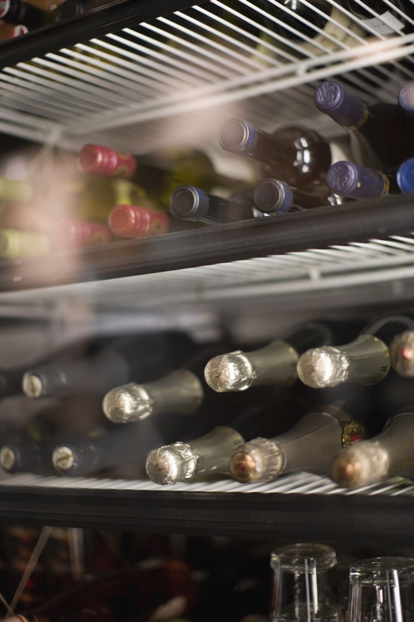 Why You Need A Wine Fridge And Choosing The Right One Tatler Malaysia