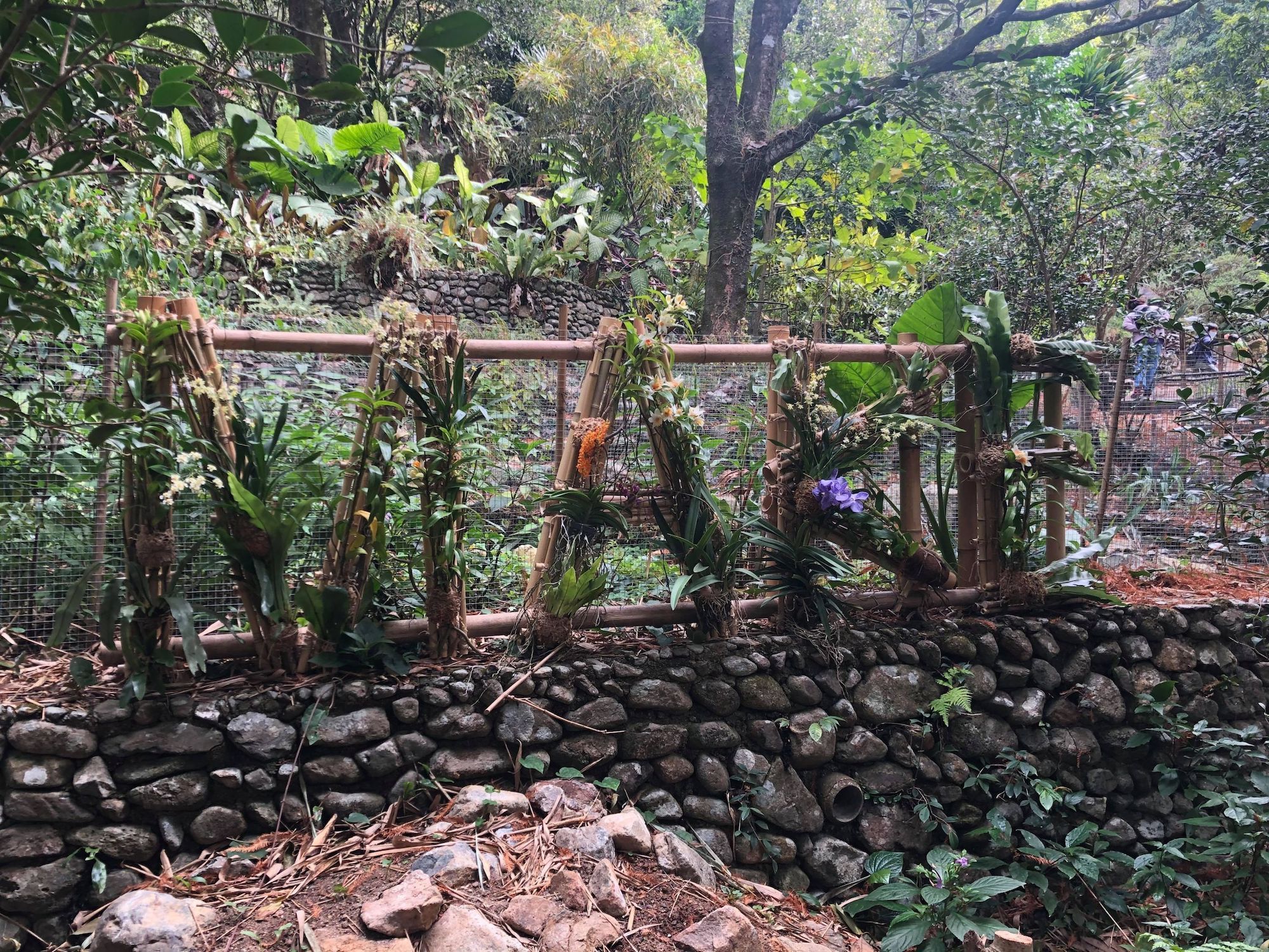 Kadoorie Farm and Botanic Garden: Life Is Hard. Why Do We Make It So Easy? (Photo: Kadoorie Farm and Botanic Garden)