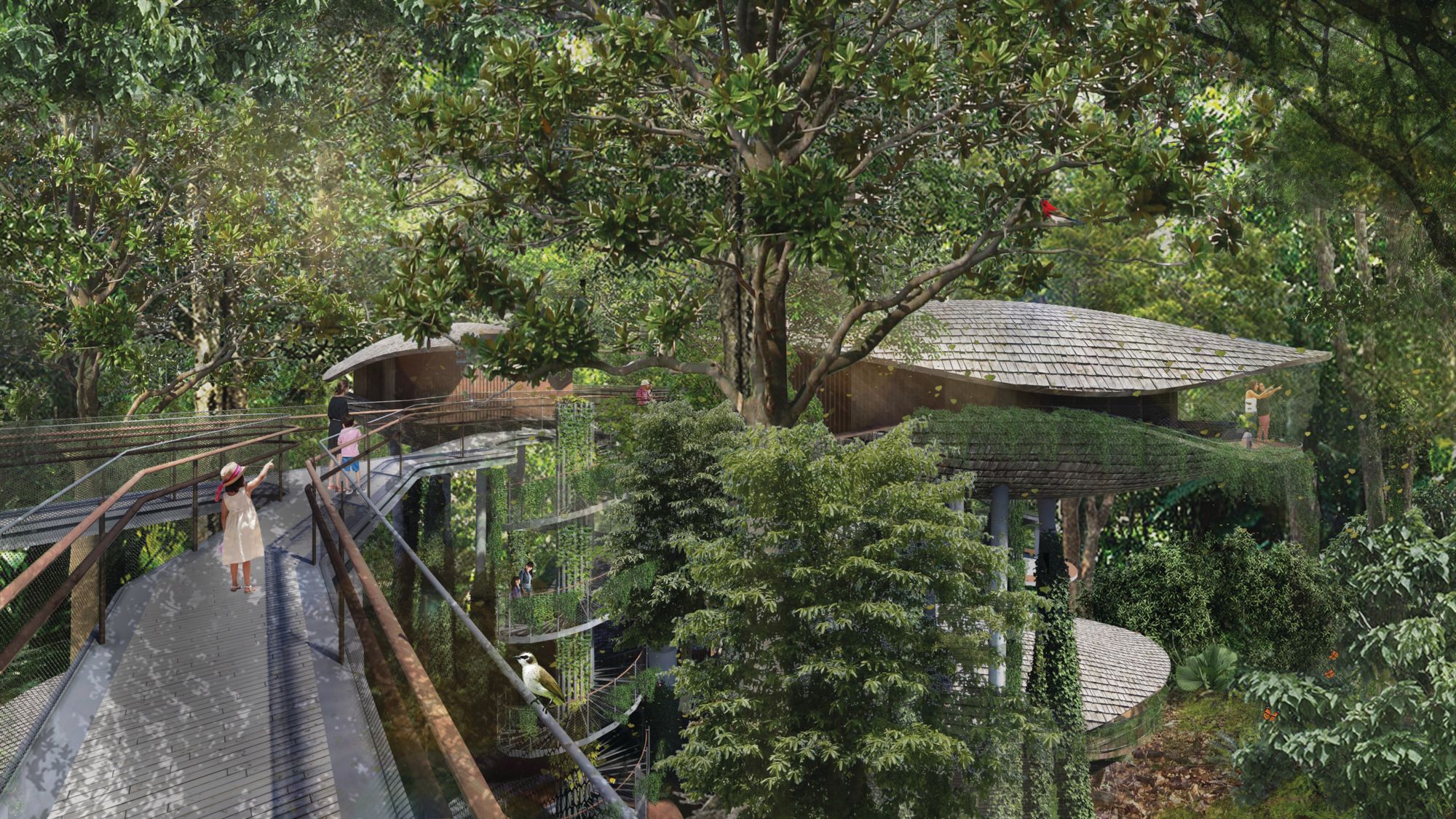 Photo: Courtesy of Mandai Eco-resort