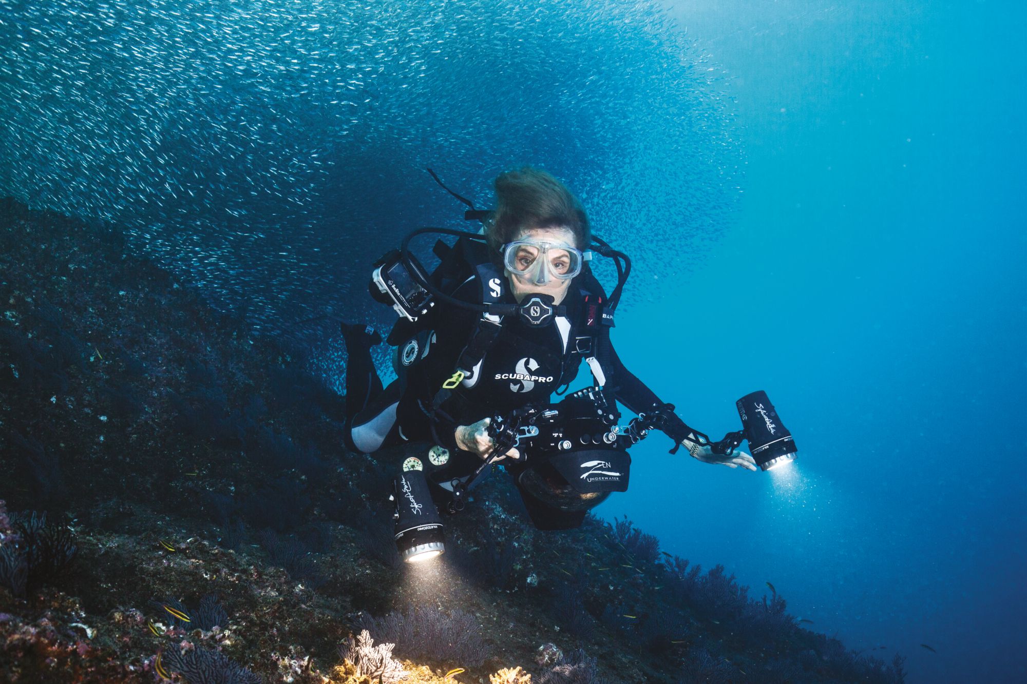 Rolex Ambassador Sylvia Earle On Her Mission To Protect The Ocean
