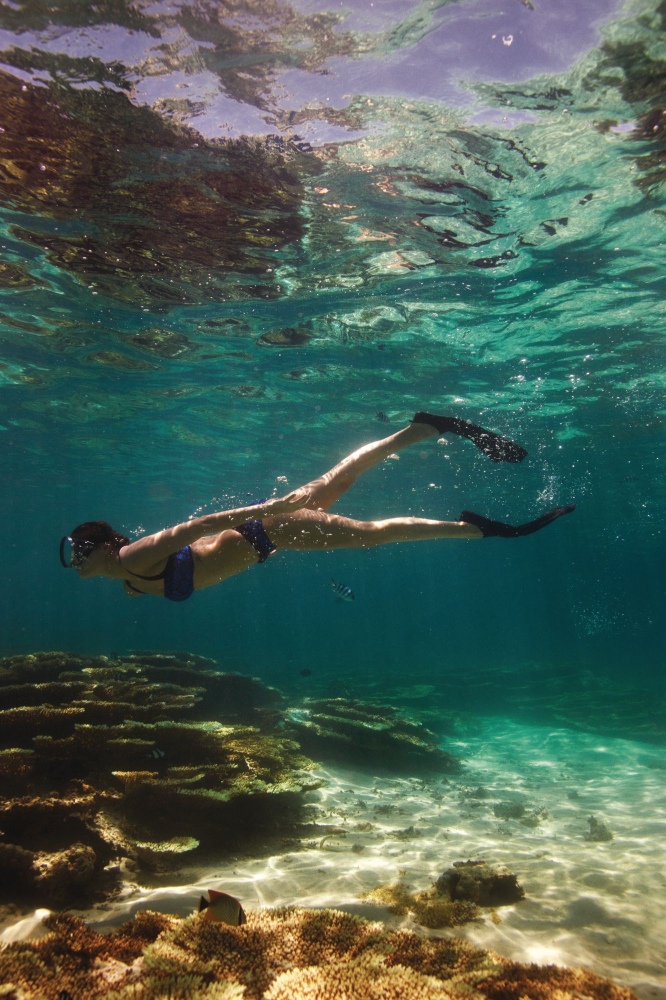 Reef-Friendly Sunscreen: Why You Should Use Them And The Products To Try