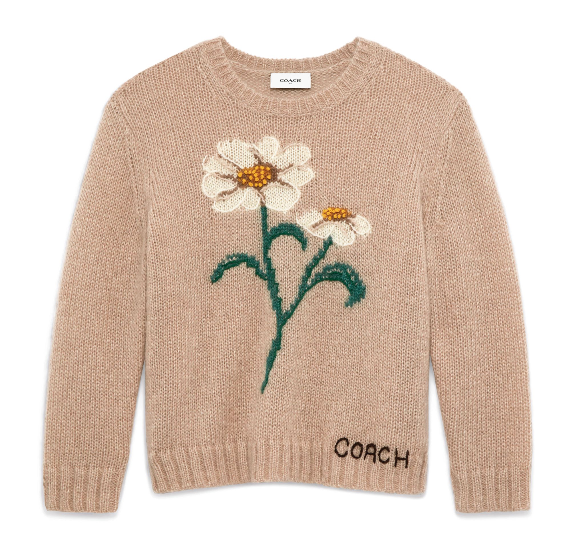 Coach jumper