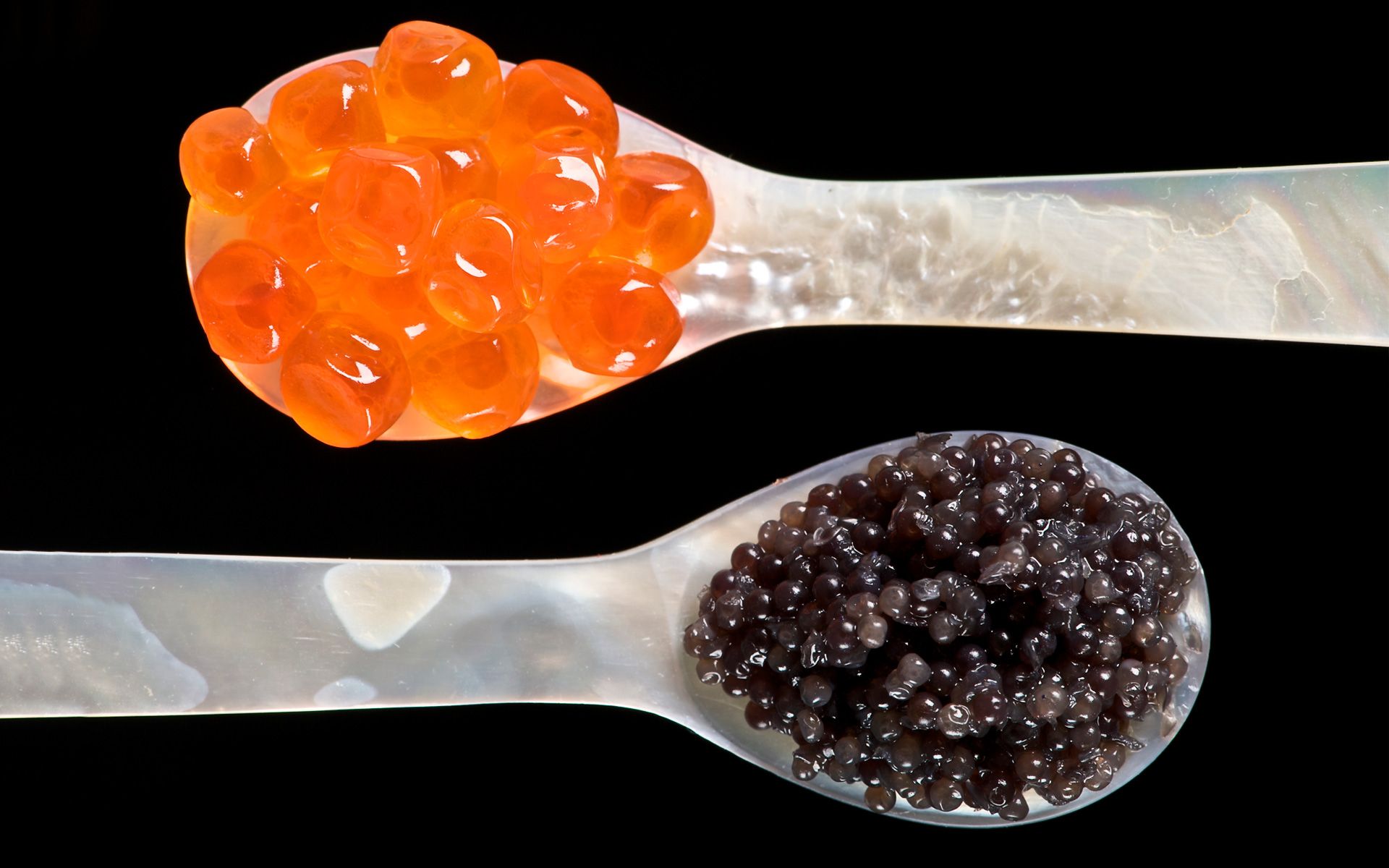 Caviar