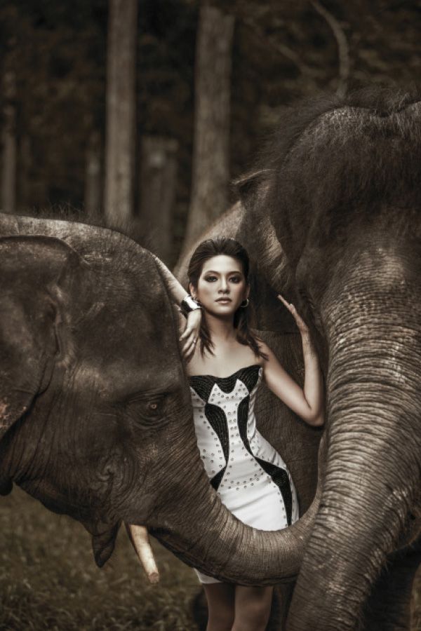Tasha Fusil, dressed in Versace, proved to be a brave soul when she faced wild elephants head-on for our February 2012 cover story. (Photography: Kim Mun from Hopscotch Studio)