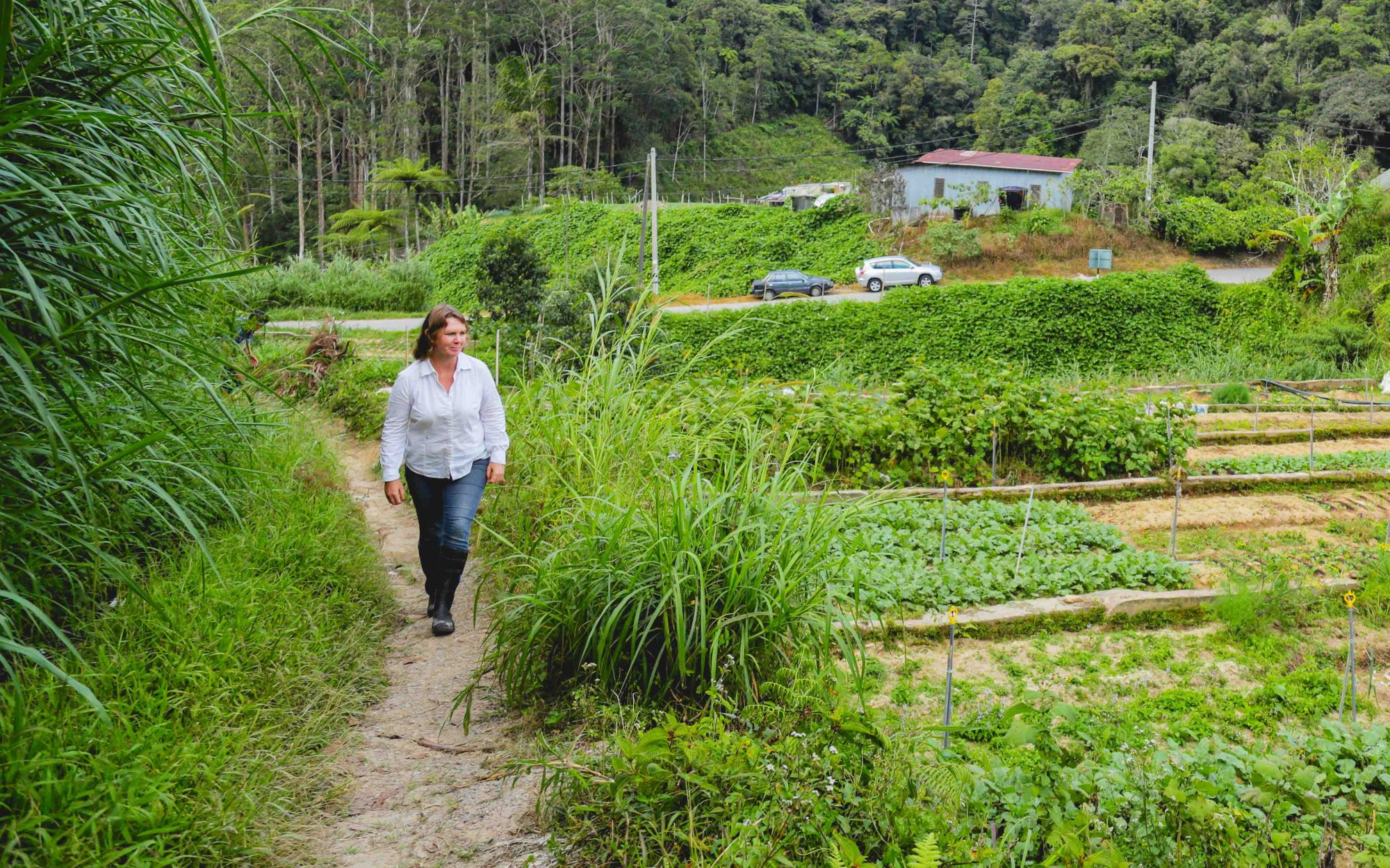 Watch: Why Fine Dining Chefs Are Ordering Their Produce From Weeds & More