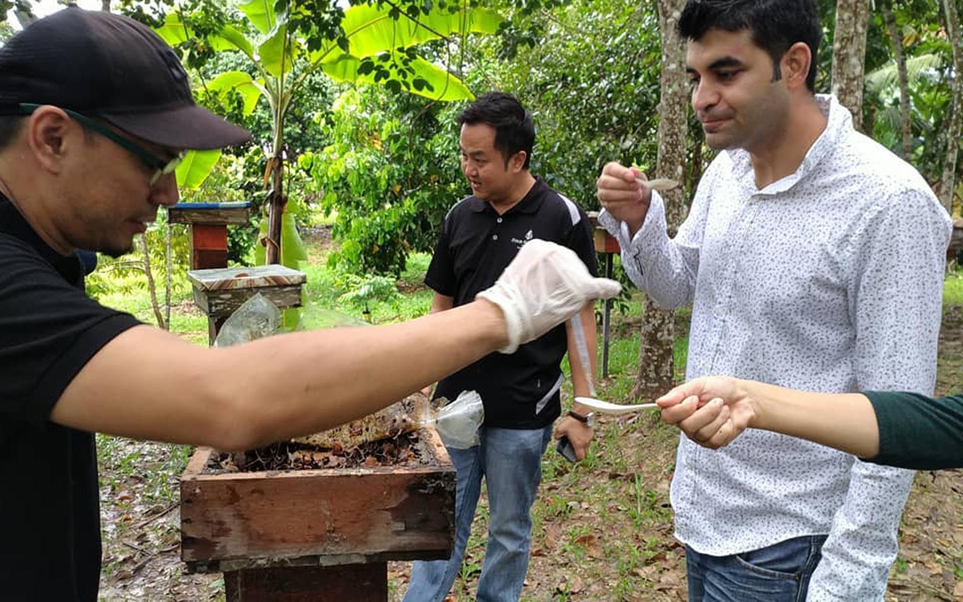 Azril Dino offering Ashish Sharma & team a taste of raw honey.