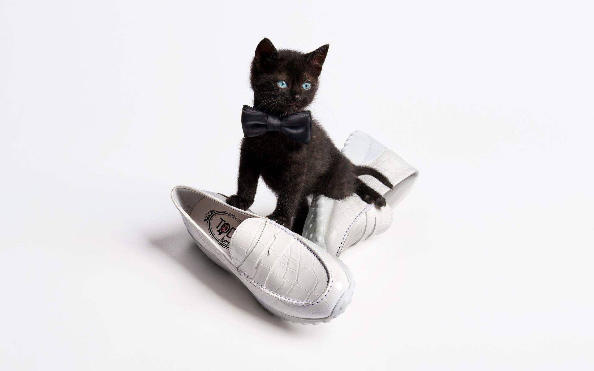 Designer Alber Elbaz gave his own spin to Tod's iconic driving shoes and we think they're pur-fect! (Photo credit: Tod's)