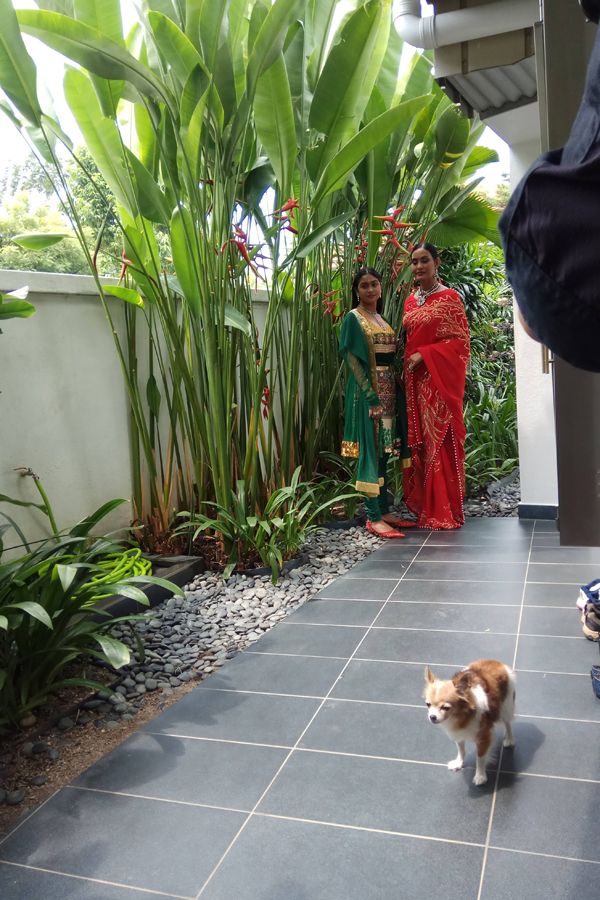 The ladies were soon interrupted by the family's furry friend, who was determined to include himself in the shoot.