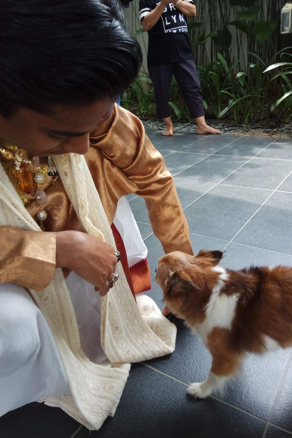 Tanestrran shares a light moment with his little canine friend.