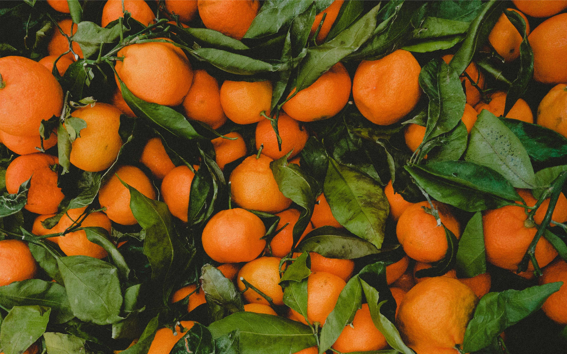 Photo: Jeremy Yap on Unsplash