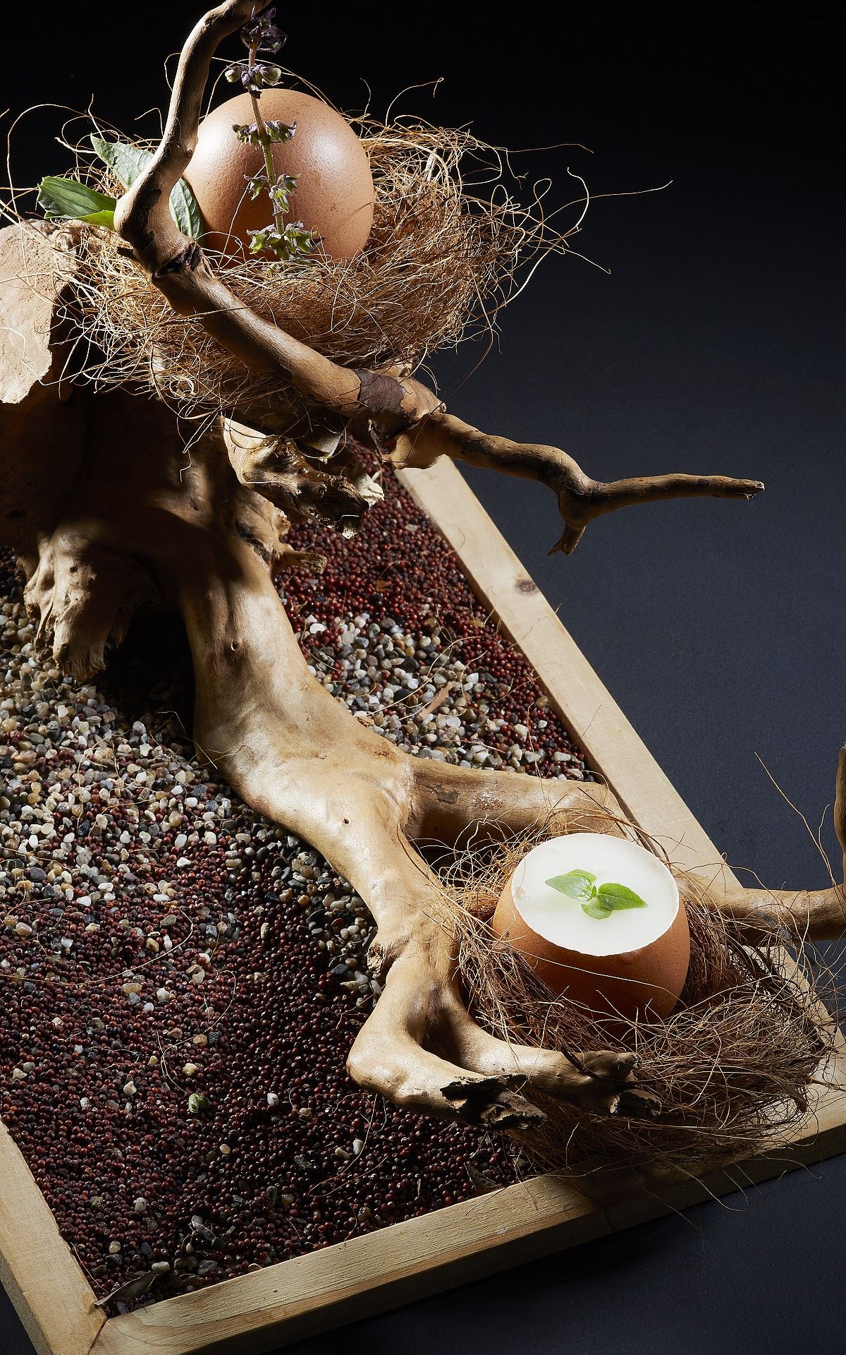 "No Name" digestif with truffle and basil by mixologist Akshar Chalwadi (Photo: Nadodi)