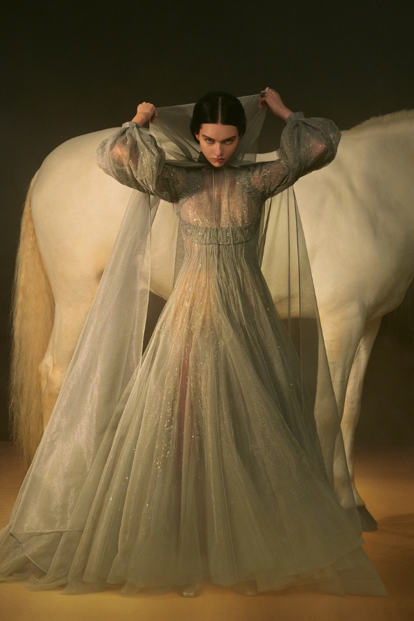 La Mort: Long pleated dress in gray gauze with cape, embroidered with rhinestone jewels
