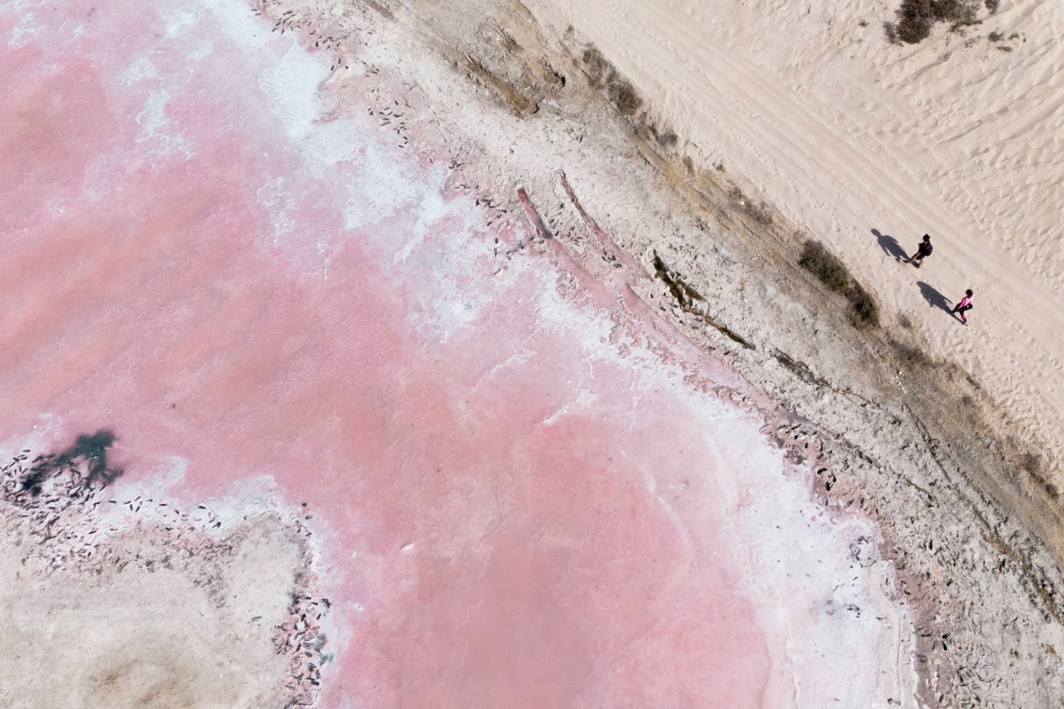 Located on the Ras Al Khaimah coastline in Saraya Island, UAE is the famous 'Pink Lake', whose waters are coloured by the flowering of a type of red algae (Photo: Augustine Wong/Unsplash)