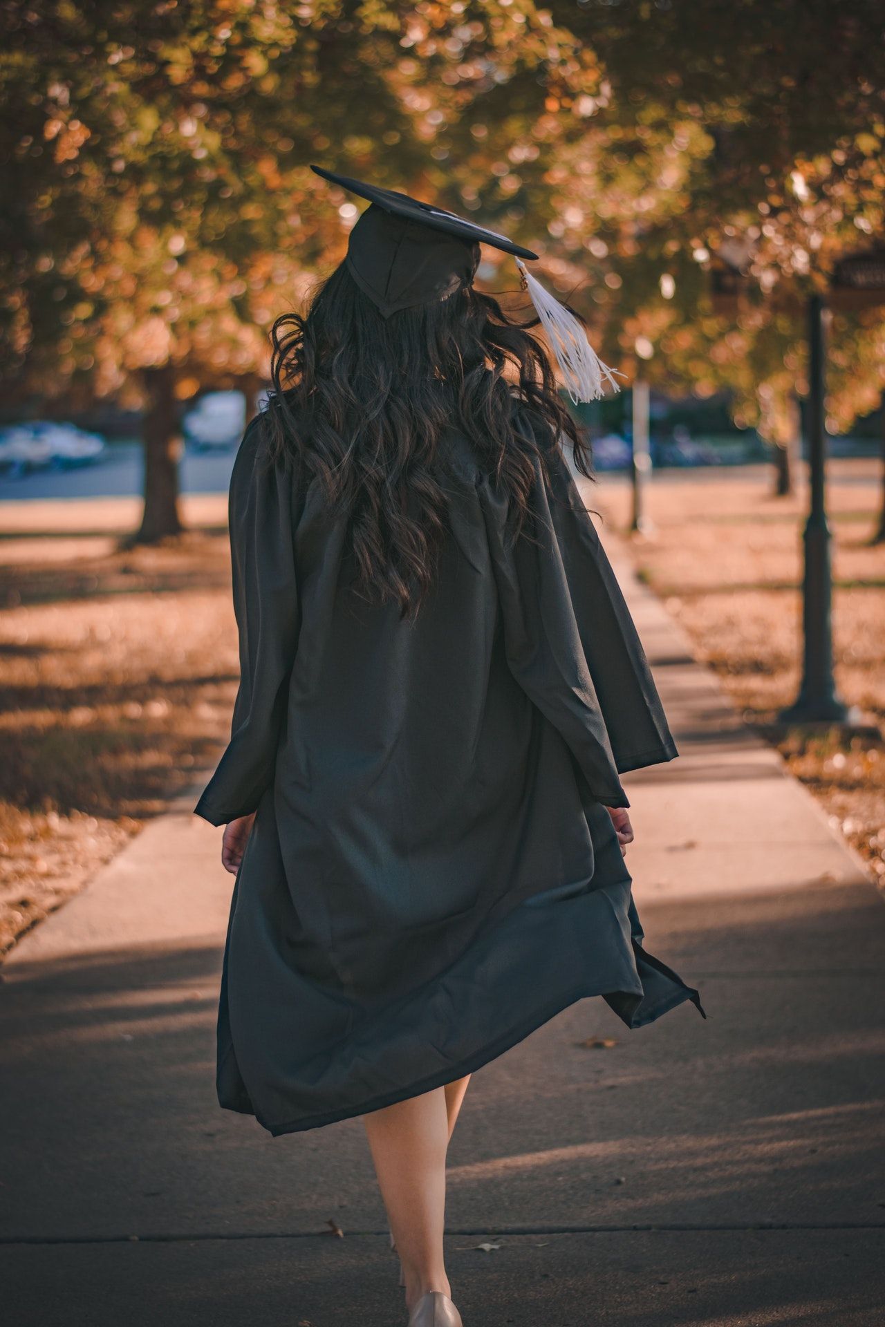 The Road To Oxbridge And Ivy League