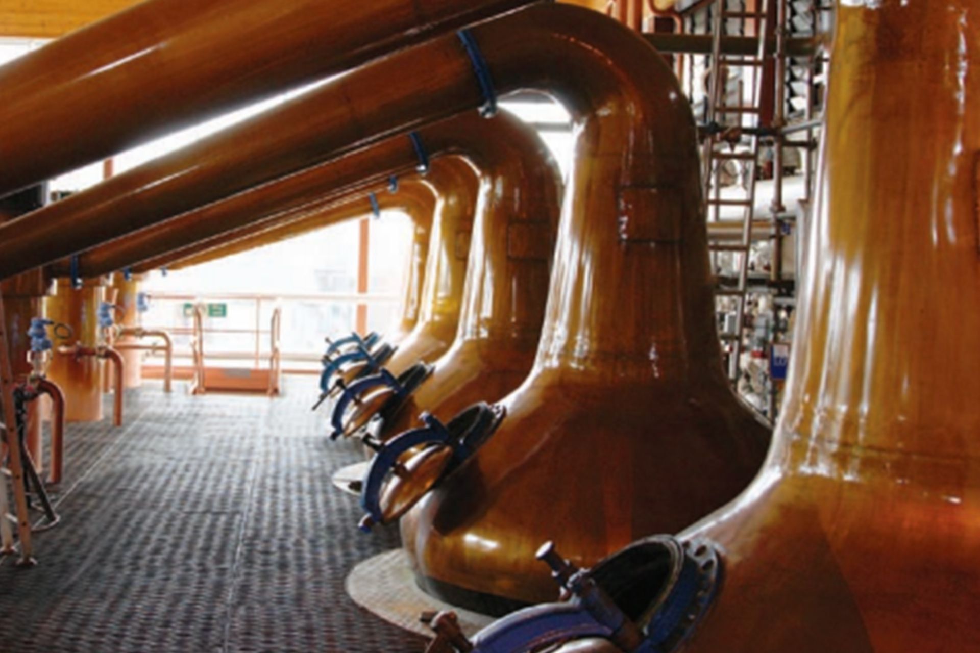 The Six Pillars of Macallan