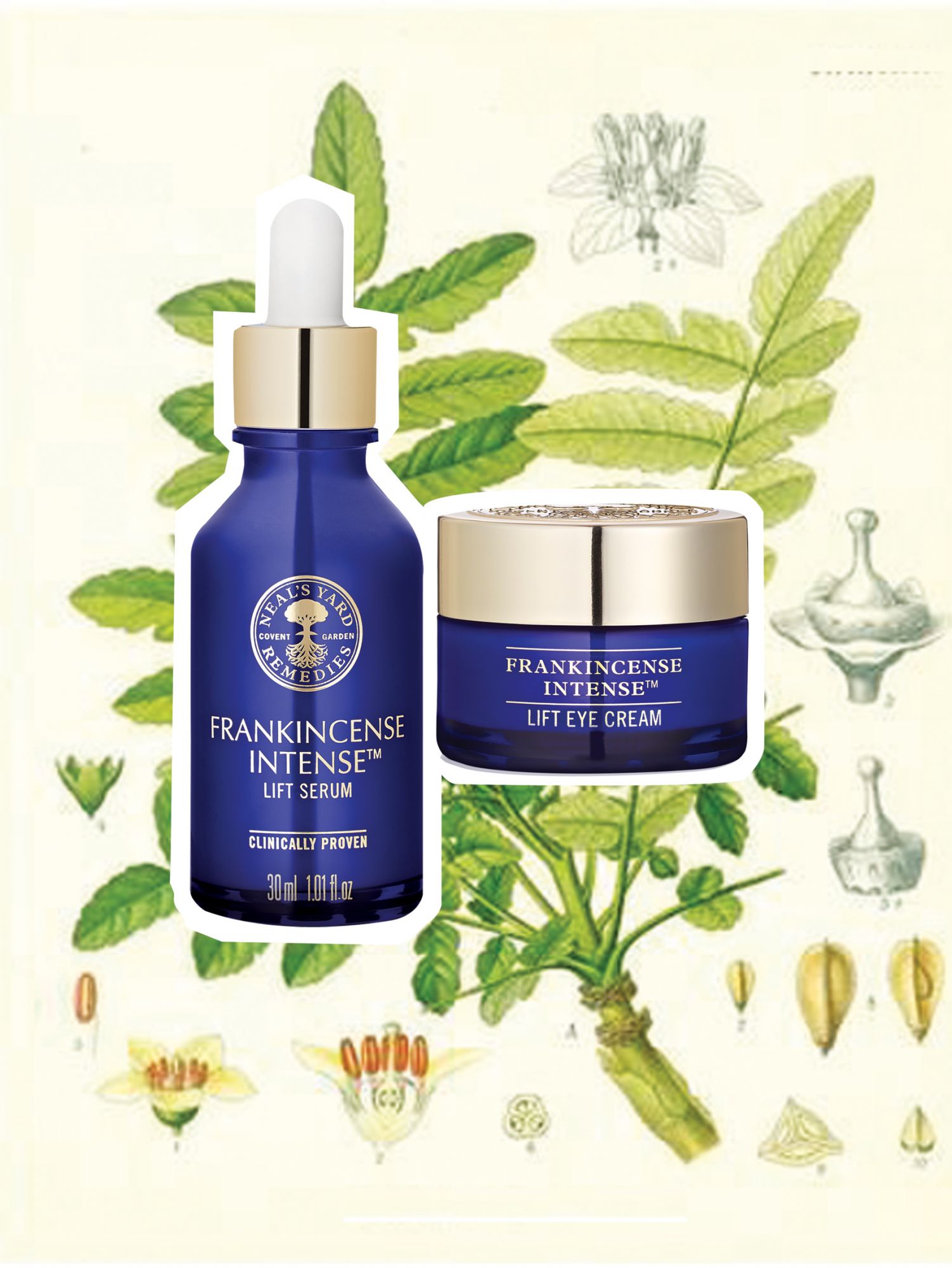 Harnessing the ancient power of frankincense resin extract from the Boswellia sacra trees of Oman, the Frankincense Intense Lift Serum and Eye Cream lift, restore, and rejuvinate skin with amazing properties